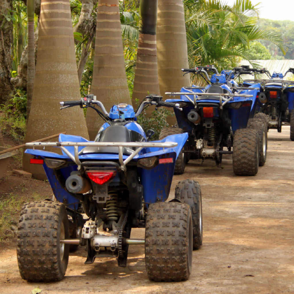Virée en Quad Djerba