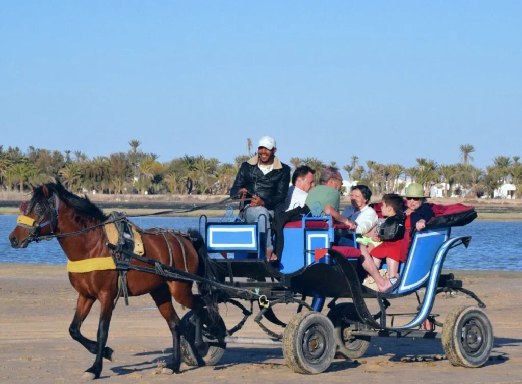 Balade en calèche Djerba