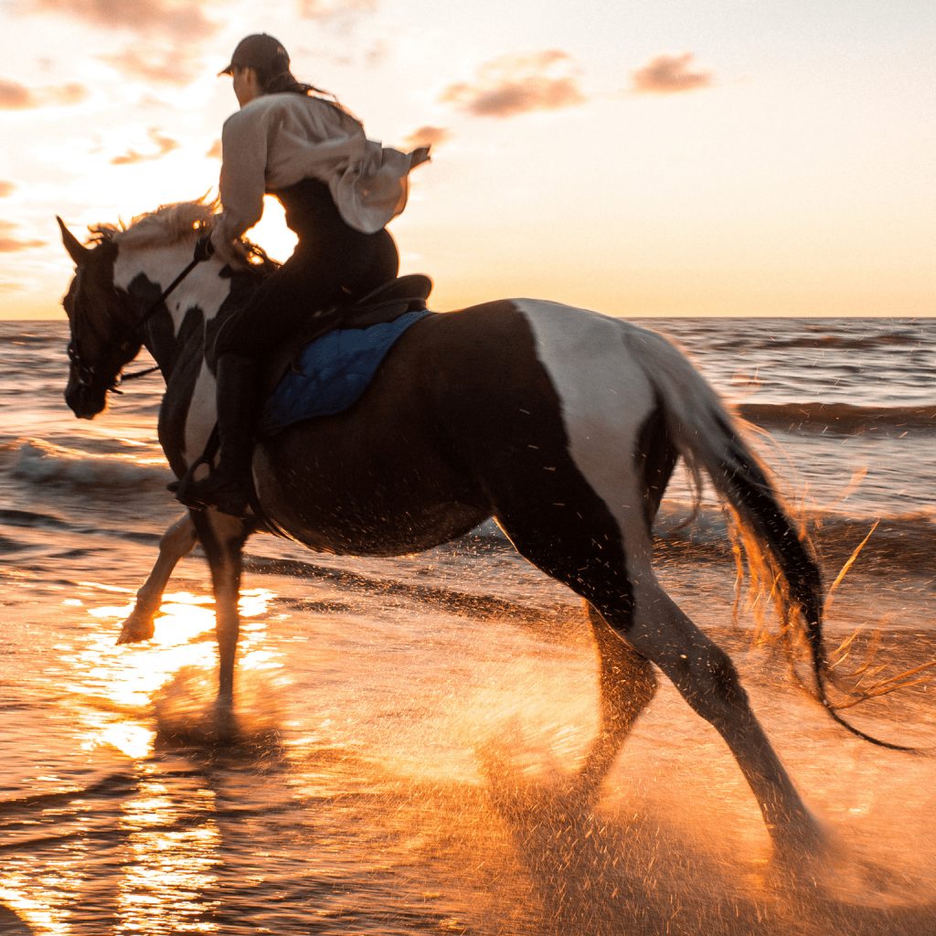 Balade à Cheval
