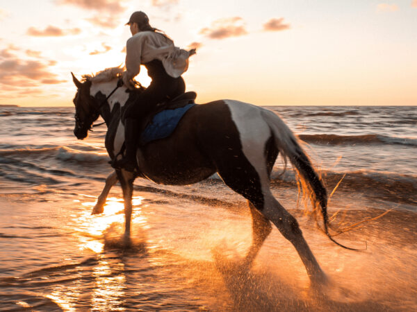 Balade à Cheval