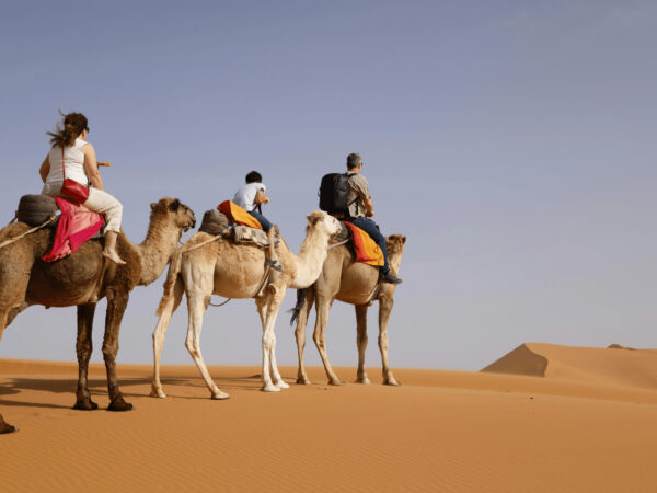 Pack Aventure – Image 3