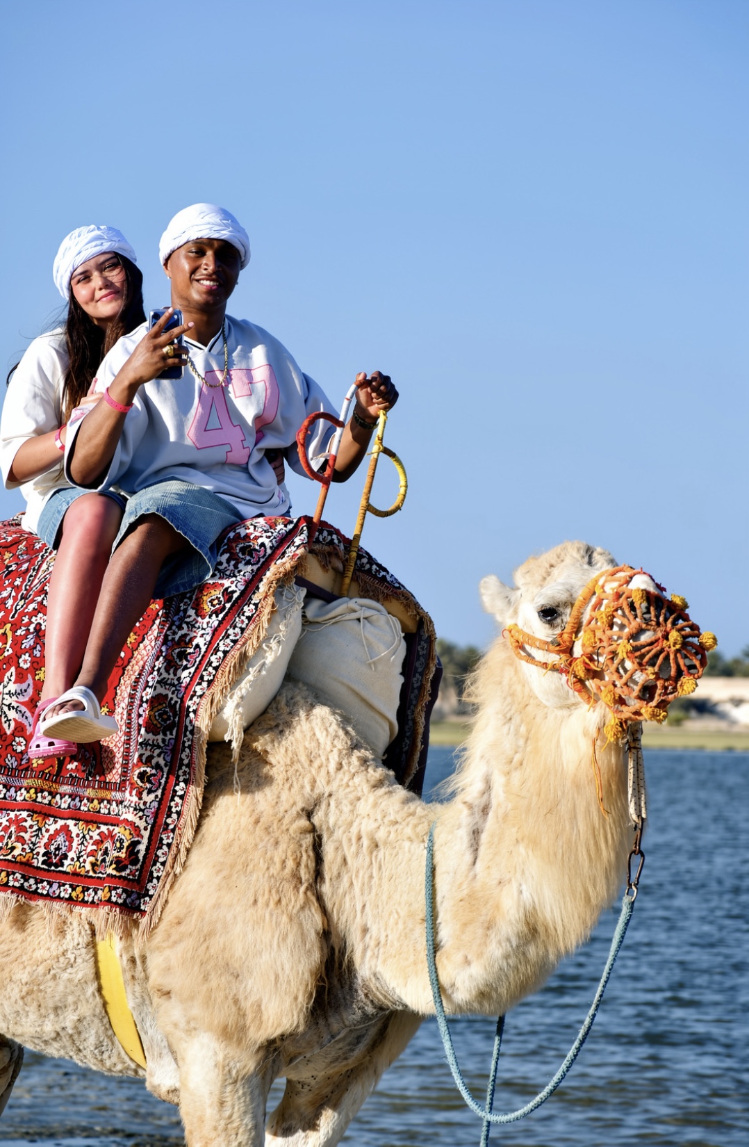 Balade à dos de dromadaire Djerba